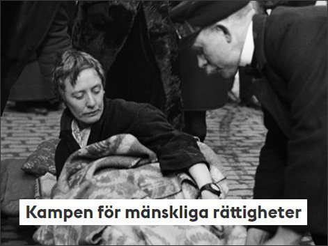 Mänskliga rättigheter.jpg