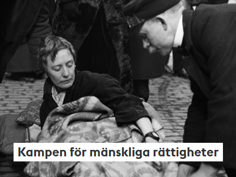 Tema Kampen för mänskliga rättigheter.png