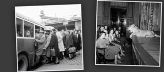 Dekorativ Illustration: Lejon ligger på scen framför publik