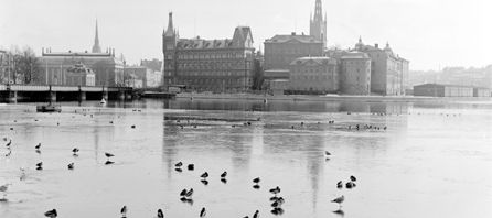 Riddarholmen