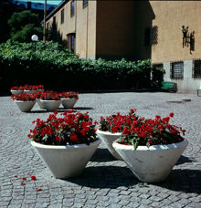 Blomsterurnor med röda begonior på gårdsplanen framför Historiska Museet. Vy åt söder