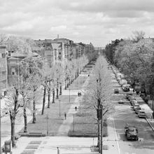 Karlavägen vid korsningen av Engelbrektsgatan. Allén österut med Humlegården th