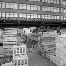 Transporter till Centralsaluhallen och Klarahallen.