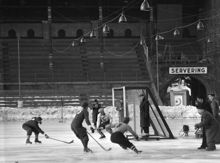 Stockholm Stadion. Bandymatch mellan Sundbyberg och Forsbacka