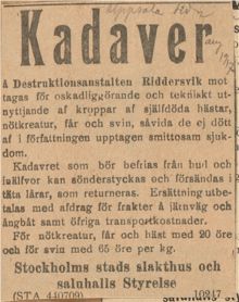 Kadaver mottages av Destruktionsanstalten i Riddersvik - annons 1917