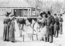 Skämtteckning "Strutsfarmen" från 1912