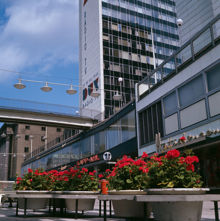 Blomsterurnor med pelargoner på Sergelgatan. Vy mot första Hötorgshuset
