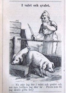 I valet och qvalet. Bildskämt i Söndags-Nisse – Illustreradt Veckoblad för Skämt, Humor och Satir, nr 47, den 24 november 1878