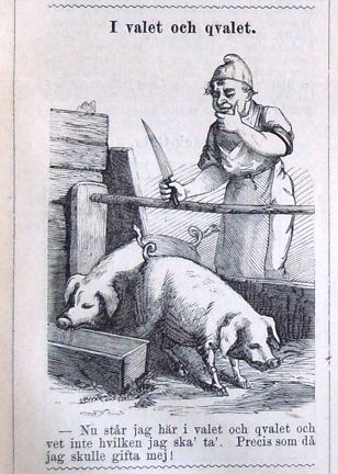 I valet och qvalet. Bildskämt i Söndags-Nisse – Illustreradt Veckoblad för Skämt, Humor och Satir, nr 47, den 24 november 1878