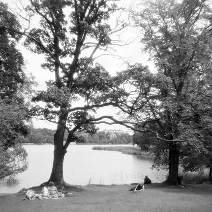 Utflykt på Kärrsön i Mälaren. I fonden skymtar Drottningholms Slott.