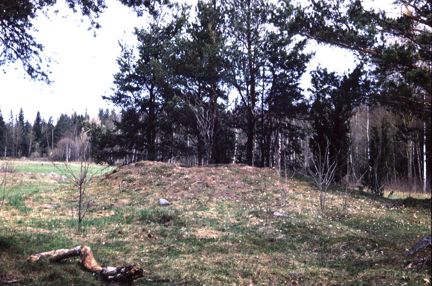 Högen fotad från söder före utgrävning och avtorvning. 