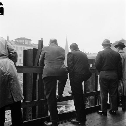 Några personer fotograferade bakifrån. De ser ner i det uppgrävda området.