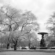 Kungsträdgården med Molins fontän