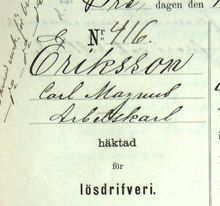 Arbetskarlen Carl Magnus Eriksson, 71, häktad för lösdriveri 12 juli 1889 - polisförhör