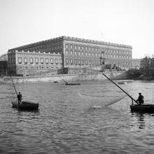 Norsfiske från håvbåtar på Norrström. Slottet och Slottskajen i bakgrunden