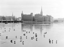 Änder på Riddarfjärden med Riddarholmen i bakgrunden
