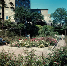 Plantering i parken (nuvarande Sankt Göransparken) sydost om Kvinnohuset, östra Stadshagen