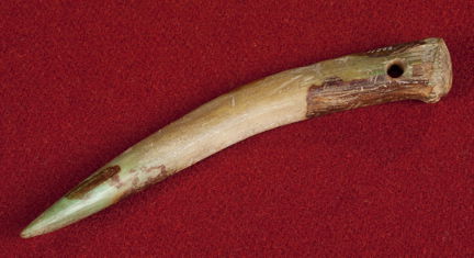 Medeltida nätnål i ben för lagning av fiskenät. Fotograferad mot röd bakgrund. 