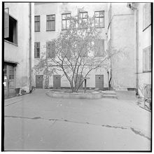 Gårdsmiljö på Kaptensgatan 3-5