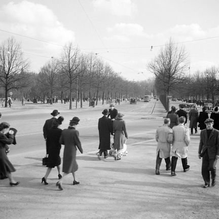 Djurgårdsvägen söderut. Lejonslätten t.v. och Nordiska Museet t.h