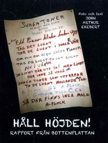 Håll höjden : rapport från bottenplattan / John Arthur Ekebert