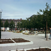 Planteringar och folkliv i Kungsträdgården. Vy åt norr