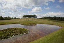 Skogskyrkogården Almhöjden Cermoniplatsen Dammen