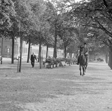 Morgonritt i Strandvägens allé. Torstenssonsgatan t. v.