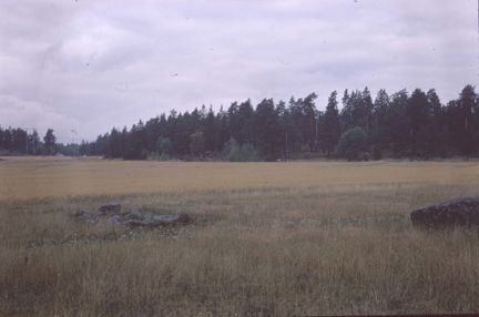 Åker med två stora stenar, i bakgrunden ses tallskog. 