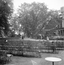 Berzelii Park. Berns i fonden