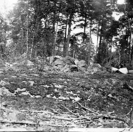 Svartvitt foto på stensättningen i barrskogen. 