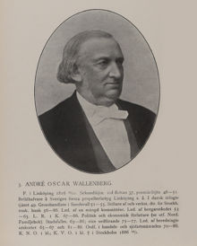 André Oscar Wallenberg. Ledamot av stadsfullmäktige 1863-1886