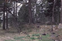 Gravhög från bronsåldern, Spånga 139:1 i Akalla.