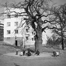 Lekplats i Kristineberg