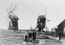 Rinkeby kvarnar