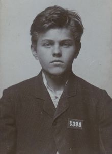 Inbrottstjuvar, bebodda lägenheter. Erik Arvid Andersson