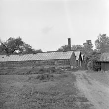 Växthus vid Riddersvik herrgård, Hässelby