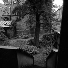 Humlegårdsgatan 6, gården
