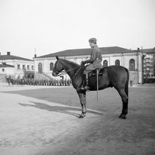 Svea Artilleriregemente. Regementschef, överste Ericson, till häst