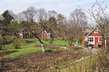 Årsta koloniområde
