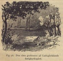 Farsoter  / Claes Lundin, August Strindberg