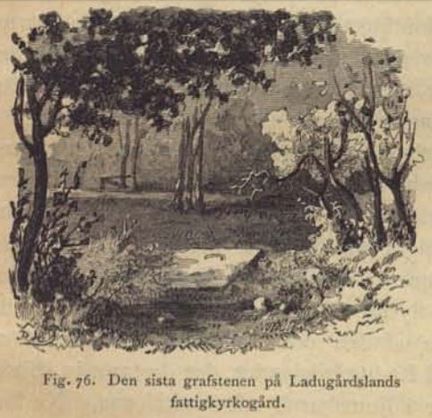 Illustration från bokens kapitel "Farsoter"
