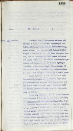 Läs hela polisrapporten som pdf