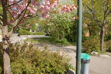 Fagerlidsparken i Hökarängen