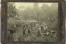 Skolträdgården vid Stora Blecktornet cirka 1910