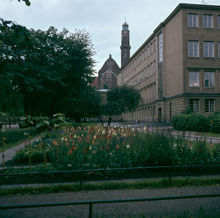 Stockholms Borgarskola. Skolträdgården i förgrunden