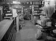 Mäster Samuelsgatan 45. Nordiska Fröhandelns butik