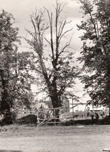 Arbetare i skuggan av ett träd, Kristinebergs Idrottsplats, juli 1932