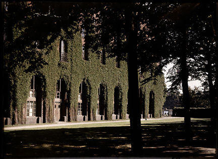 Fasad täckt av klätterväxter.