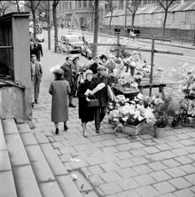 Gatubild med försäljning av blommor och fastlagsris. Odengatan vid Stadsbiblioteket